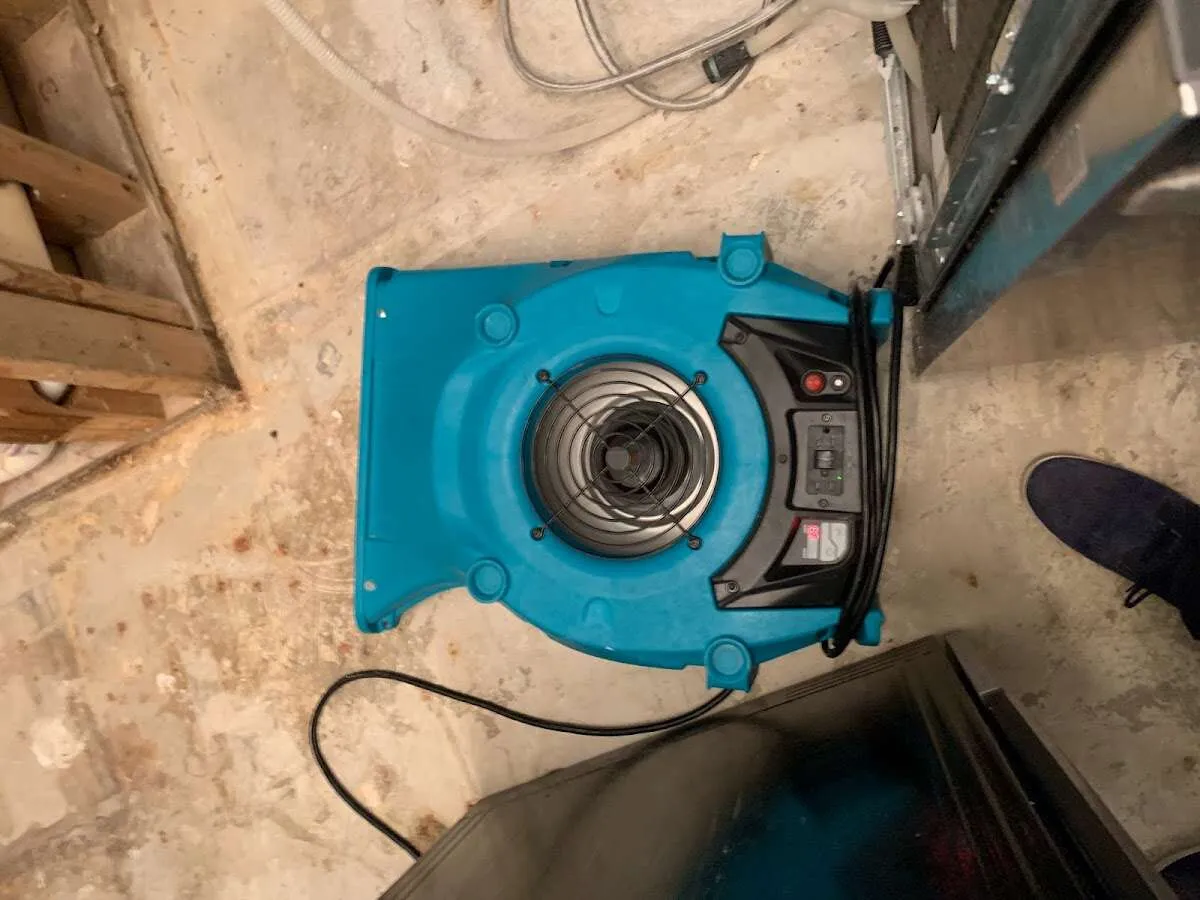 Air mover drying equipment for Mold Remediation & Removal in Westerville